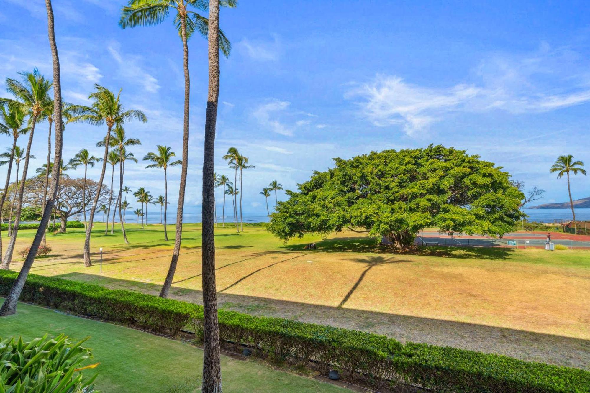 Maui Schooner Resort Kihei Eksteriør billede
