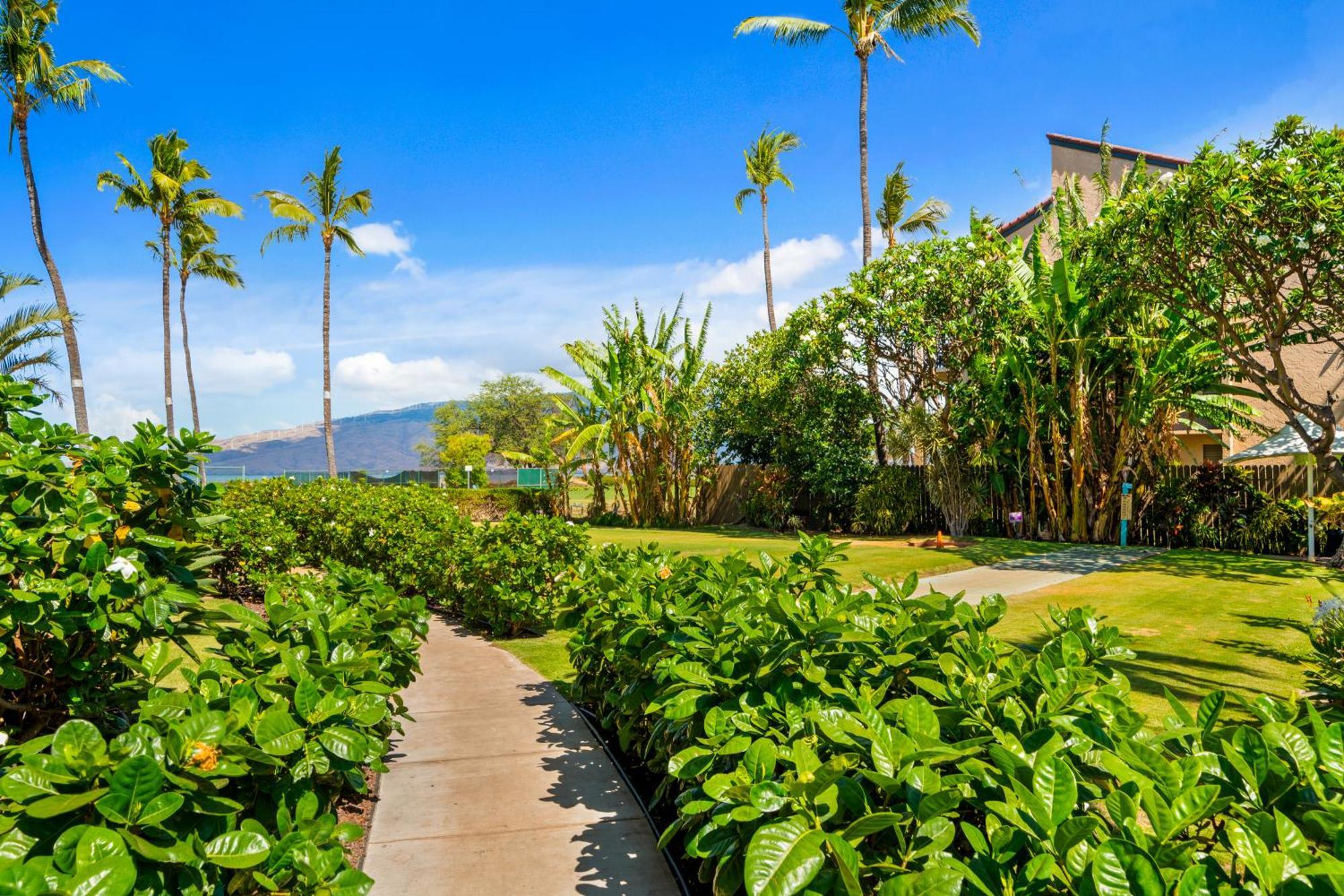 Maui Schooner Resort Kihei Eksteriør billede